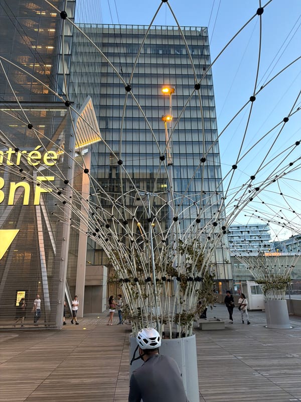 Evening look at the BnF François-Mitterrand in Paris