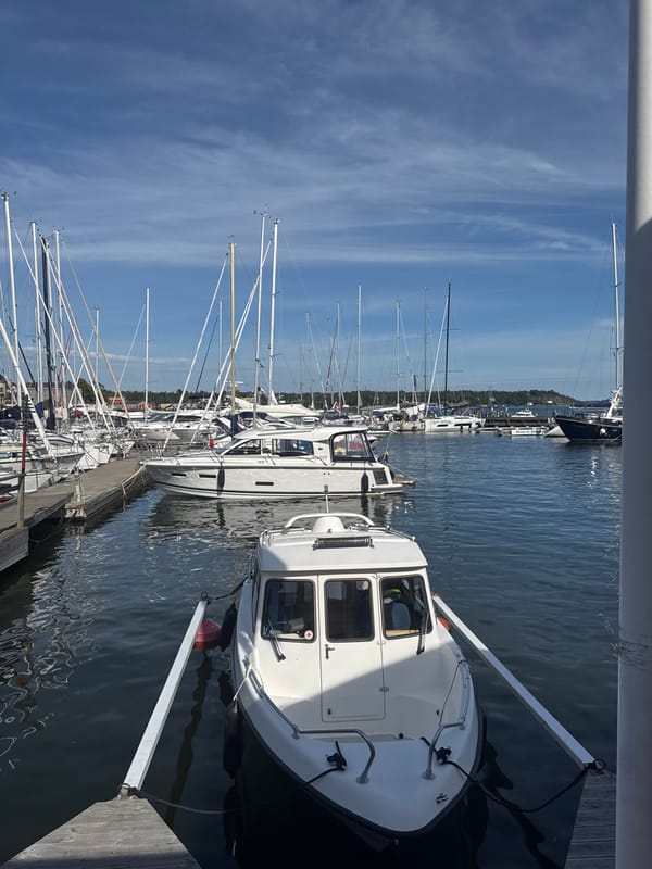 Afternoon at the marina: boats, reeds, and a waterside meal