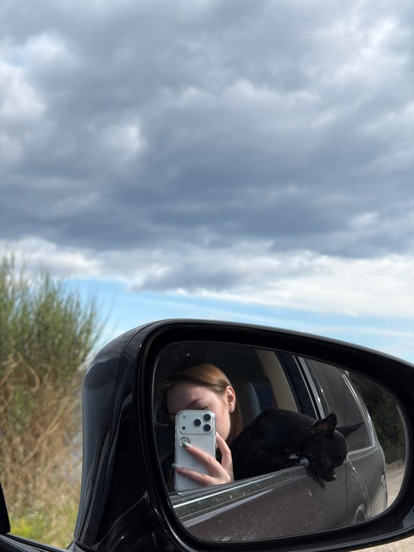 Person with dog photographed near Lexus on Montenegro coast