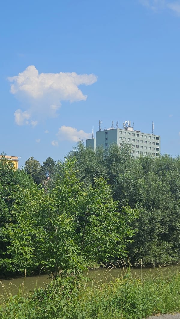 Prešov rooftop views, grazing geese, and a city mid-summer