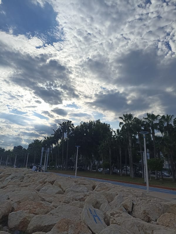 Turkish coastal promenade life documented in Yenişehir afternoon scenes