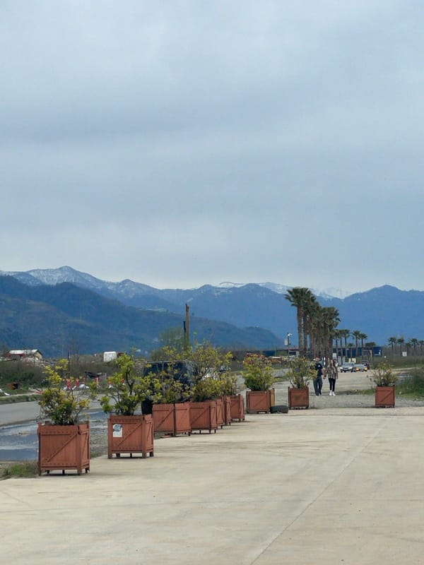 Everyday moments captured across Batumi's cafés and streets