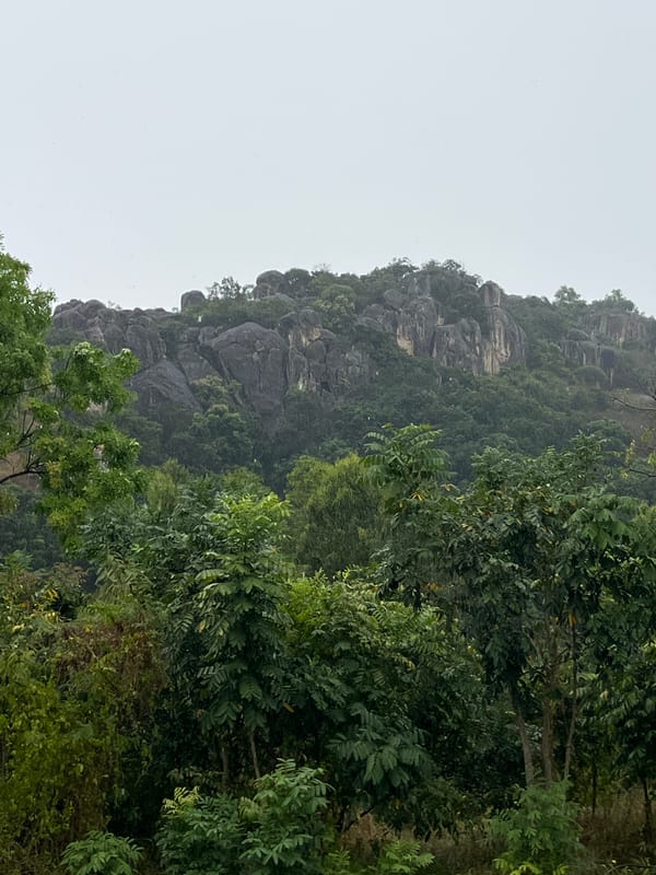 Early morning scenes documented in misty Nha Trang ward
