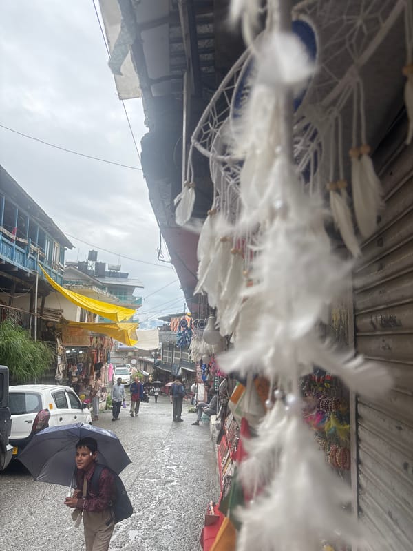 Rainy morning street life in Vashisht village