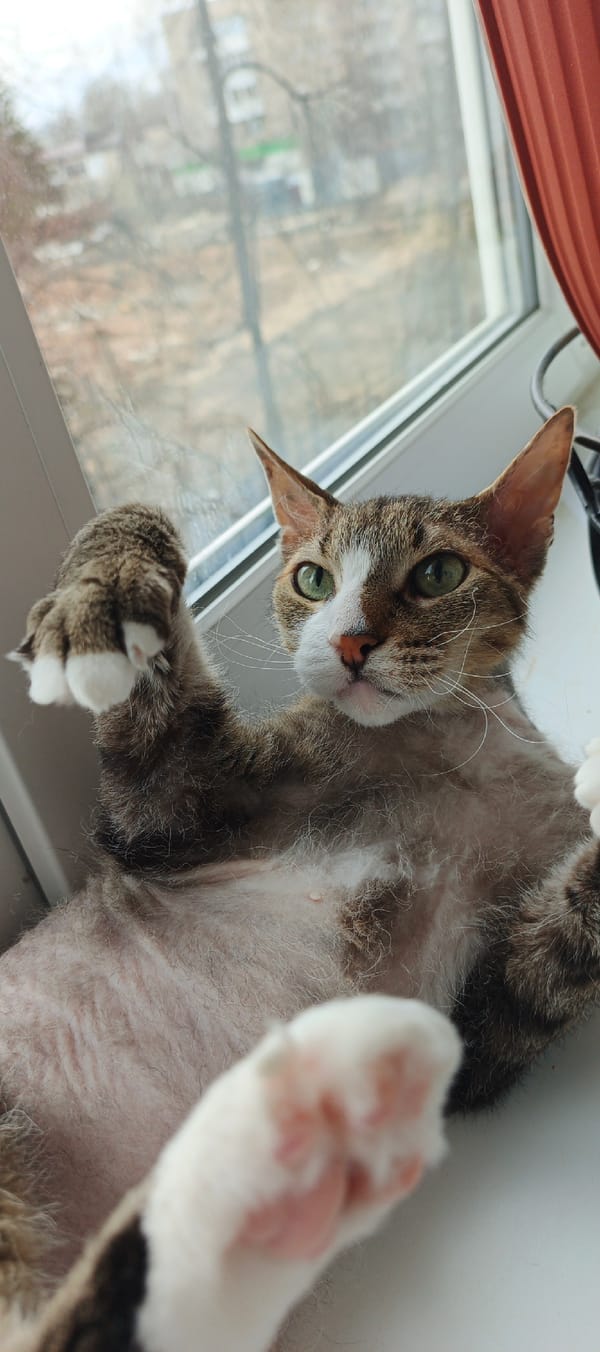 Sunday morning life captured across Chaikovsky, Russia