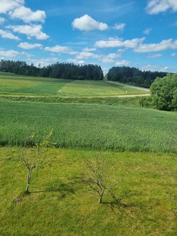 Quiet afternoon moments captured in rural Lithuanian village