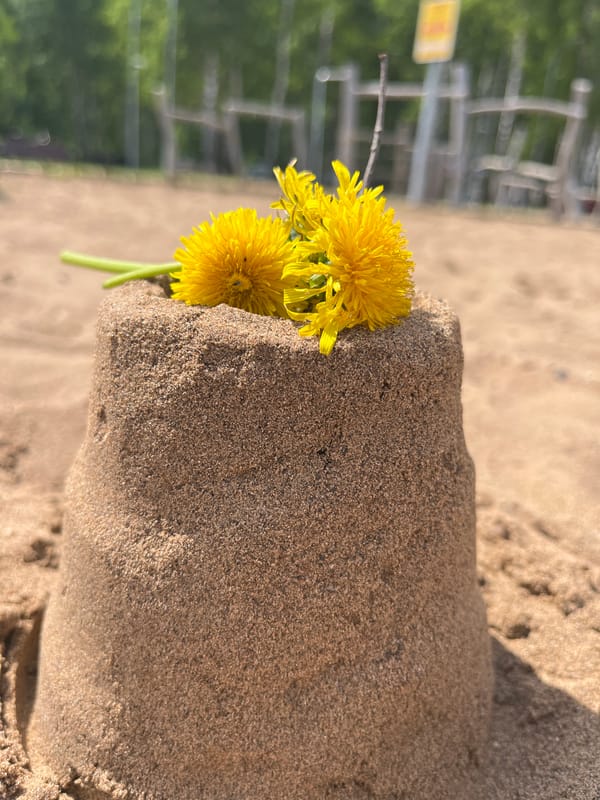 Beach day with sandcastles, swimming, and forest boardwalk walks
