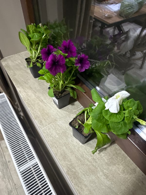 Home interior scenes documented in Lehchevo, Bulgaria