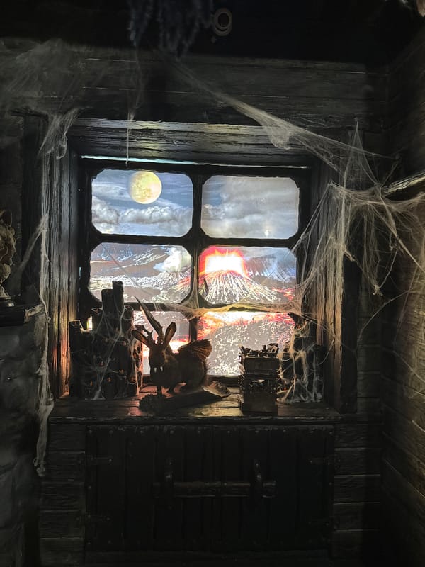 Kazan witnesses document decorative window display and drag performer