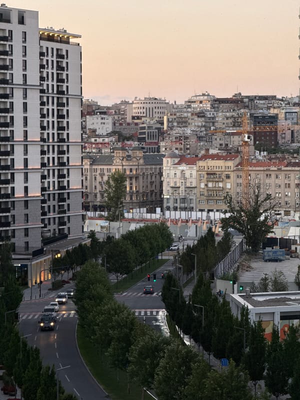 Belgrade skyline at dusk: modern towers, cranes, and colorful bird sculptures