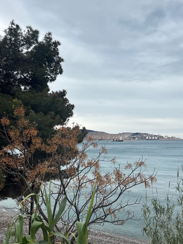Coastal Montenegro visit documented through beach scenes and wildlife