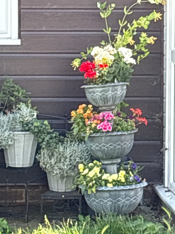 A sunny neighborhood walk through gardens in bloom