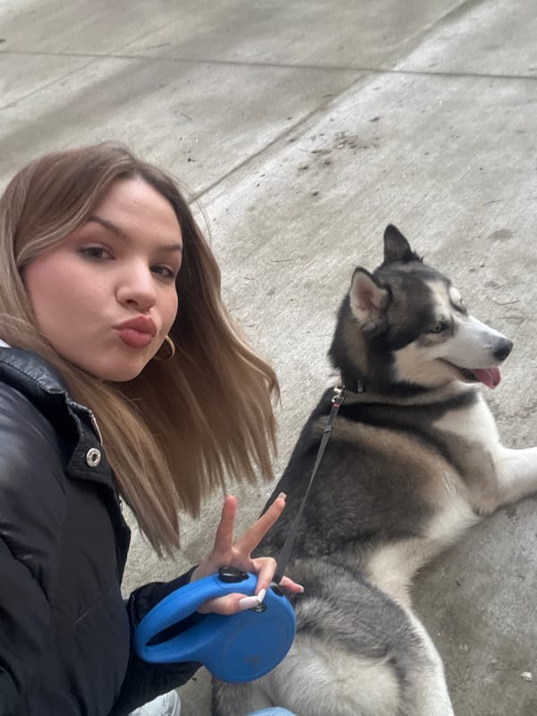 Woman walks dog in Plovdiv street scenes captured