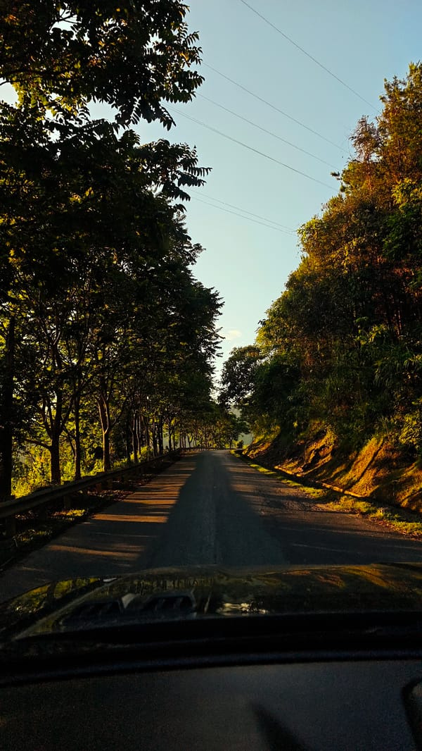 Vehicle travels winding mountain road through Bắc Hà forests