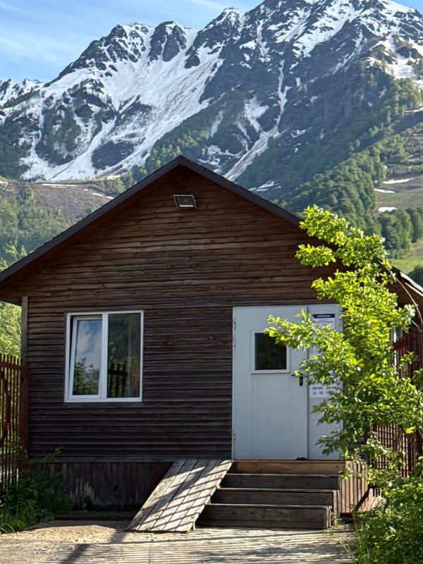 Mountain cabin and alpacas spotted in Russian countryside