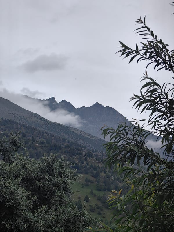 Keylong valley: mountains, village terraces, and river in frame