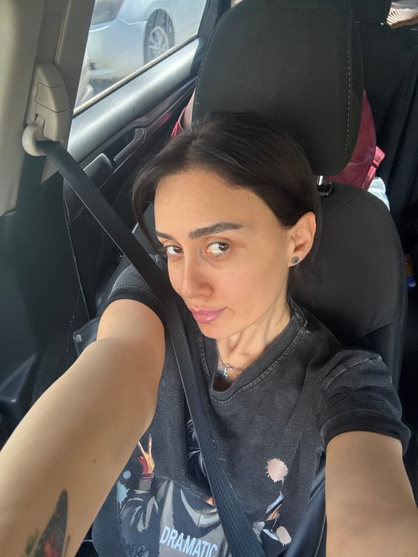 Women captured as car passengers during morning commute in Tbilisi