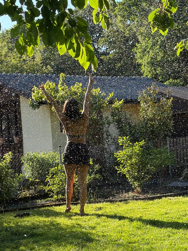 Person tends garden, practices yoga in Nuremberg yard