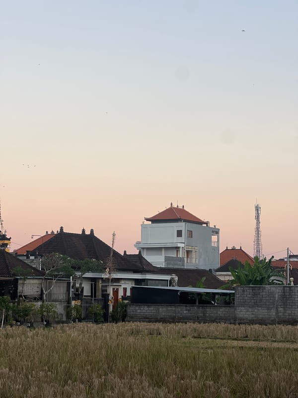 Rice harvest day in Sukawati, with offerings and a blue Vespa nearby
