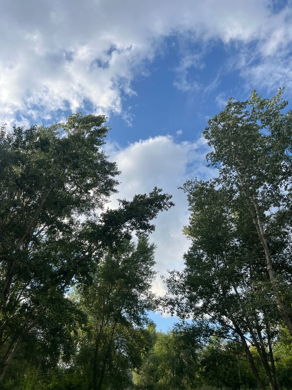 Ordinary summer afternoon around a Ulyanovsk neighborhood