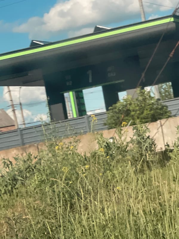 Street-level drive through central Poltava on a summer afternoon