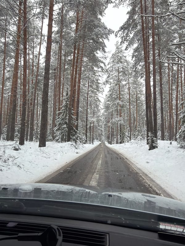 Driver navigates snowy forest road in Chaikovsky, Russia