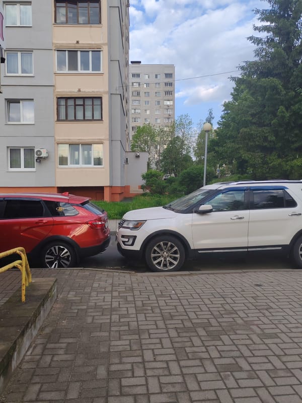 Urban parking, residential courtyard, and domestic pet moments captured