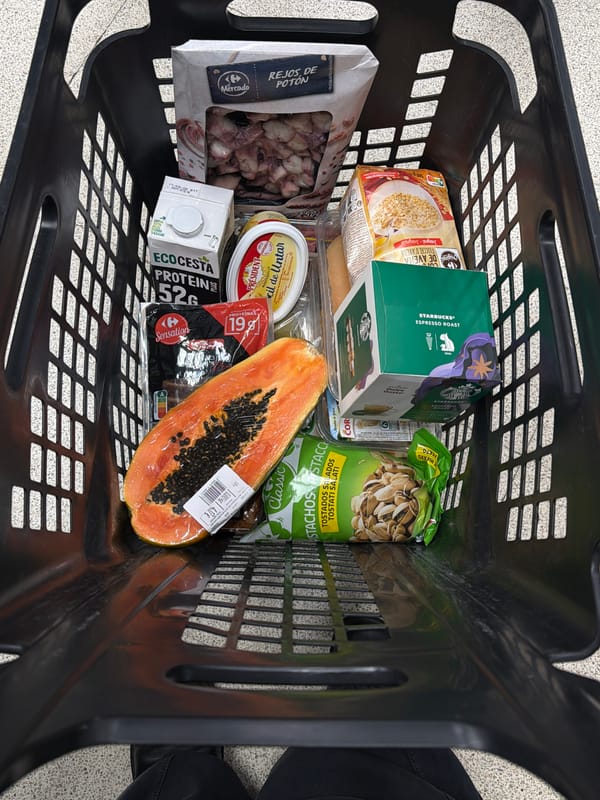 Grocery shopping basket documented in Santiago de Compostela