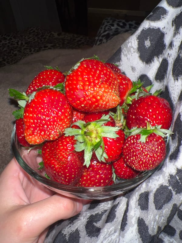 Couch evening in Krasnodar: strawberries, TV, and a chimpanzee on Twister