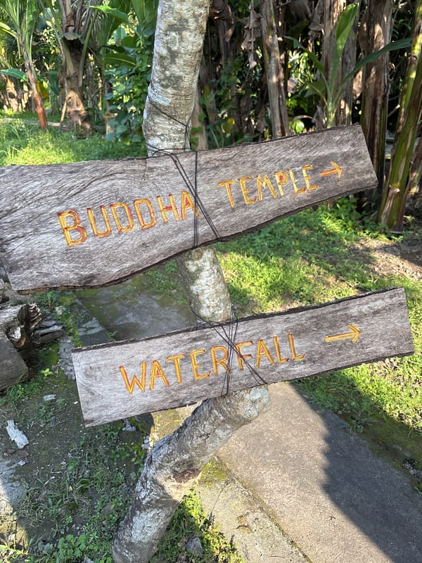Morning tour through Blahbatuh's temples, ancient trees, and sacred water sites
