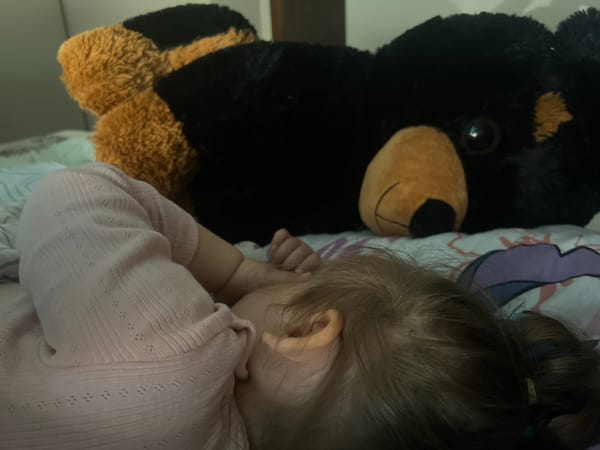 Child sleeps peacefully with stuffed animal in Mezdra, Bulgaria