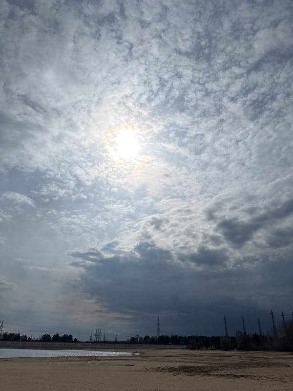 Family flies colorful kites on Russian beach under cloudy skies