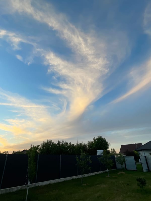 A quiet summer evening at home in rural Belarus