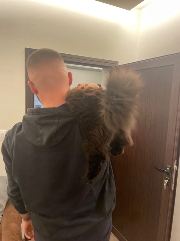 Sofia residents pose with cats at home