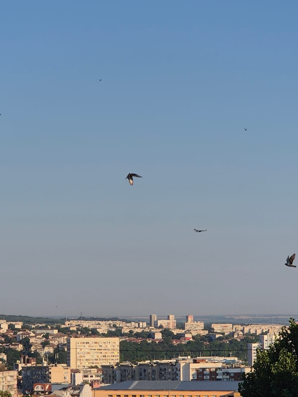Pigeons in flight and street-level moments in an urban setting