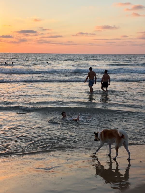 Sunset swim at Gordon Beach, Tel Aviv