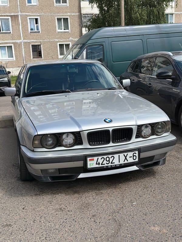 Quiet Mahilyow morning: parked BMW, garden blooms, and street pigeons