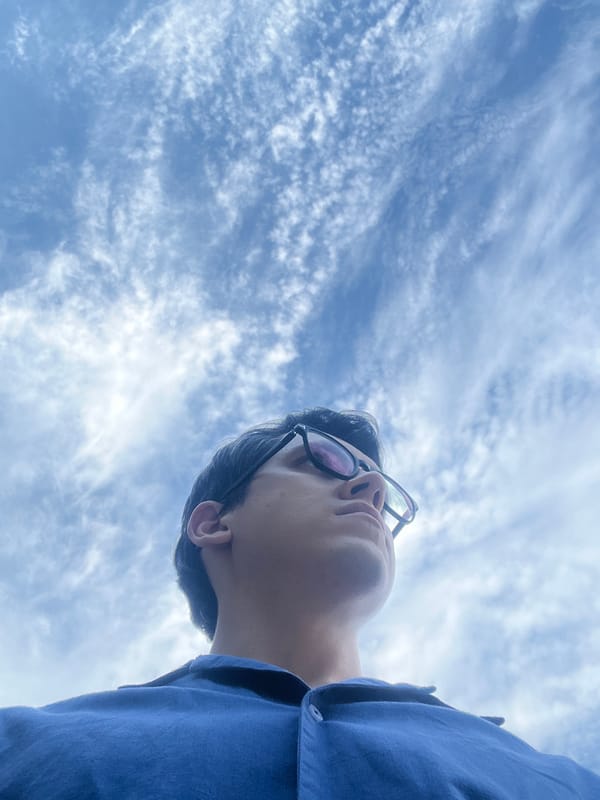 Looking up at sky and trees on a Tashkent afternoon