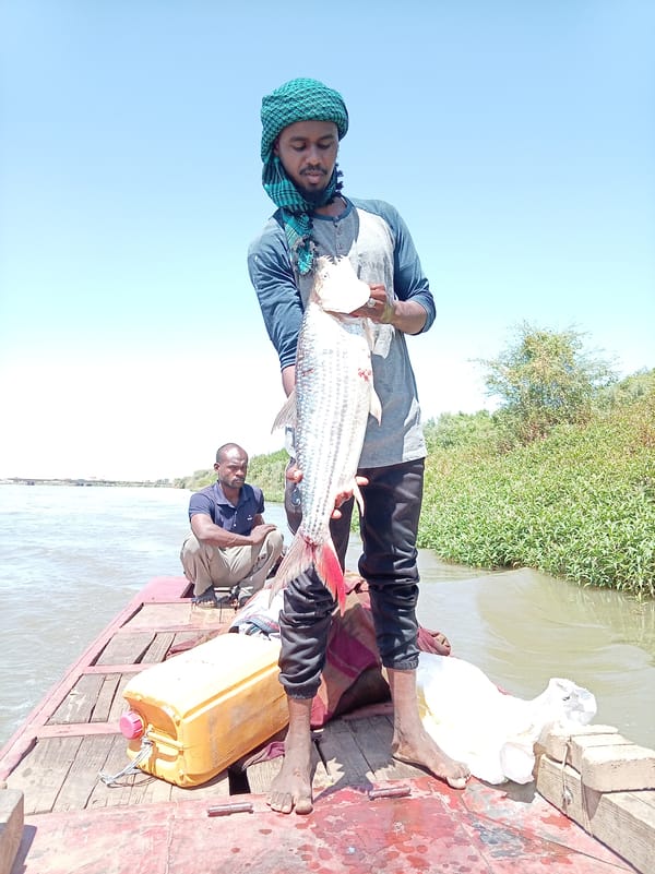 Fisherman displays catch on Omdurman river, Sudan