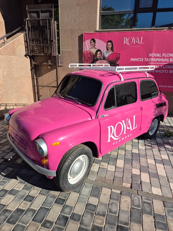 Pink vintage car spotted outside flower shop in Kokshetau