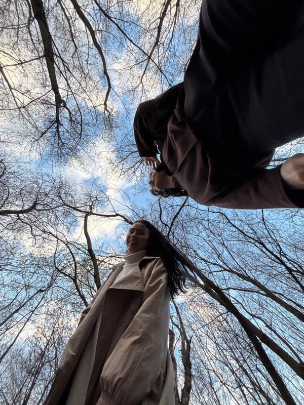 Spring walk documented through bare forests in Perm, Russia
