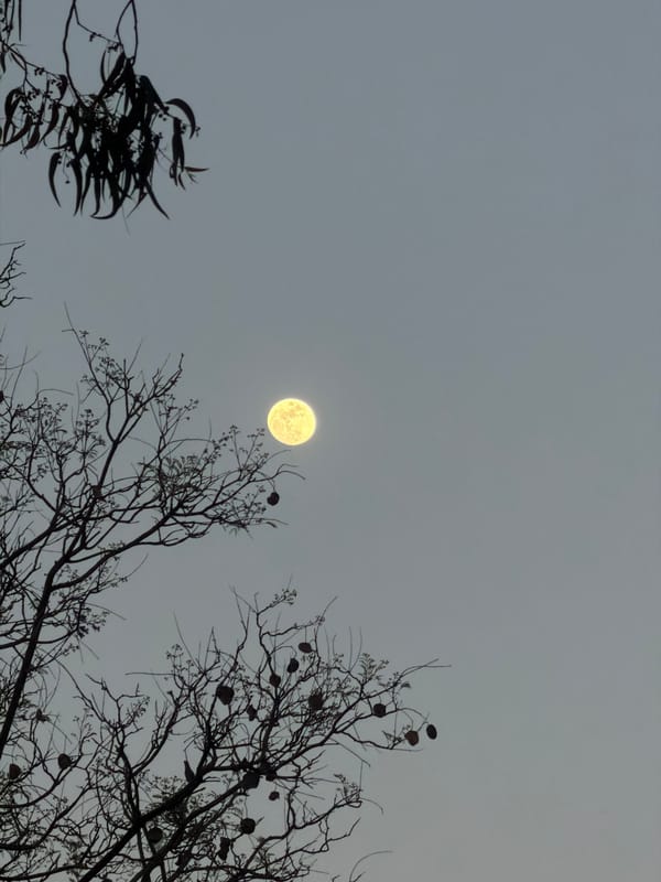 Full moon observed over Al Jizah, Jordan
