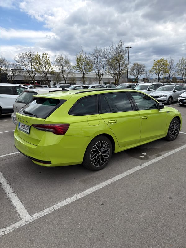 Green Skoda parked in Ljubljana lot under cloudy skies