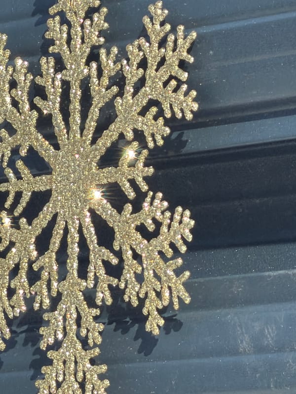 Child's bicycle and winter decorations documented in Dubovaya