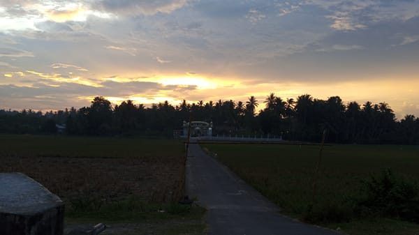 Rural Indonesian Villages Documented During Morning Golden Hour