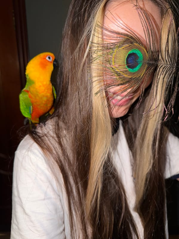 Sun conure and construction sites in suburban Moscow