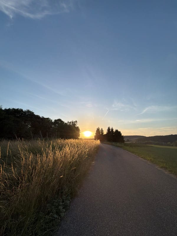 Golden-hour light hits roadside grass in rural Luxembourg