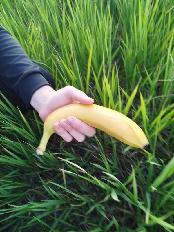 Fruit photography session documented in rural Ukraine twilight