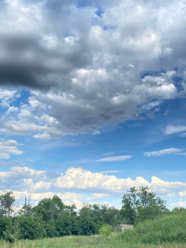 Wildflowers, stormy skies, and a quiet rural afternoon