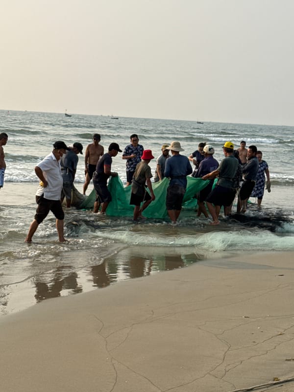 Traditional net fishing observed at sunset on Đà Nẵng beach